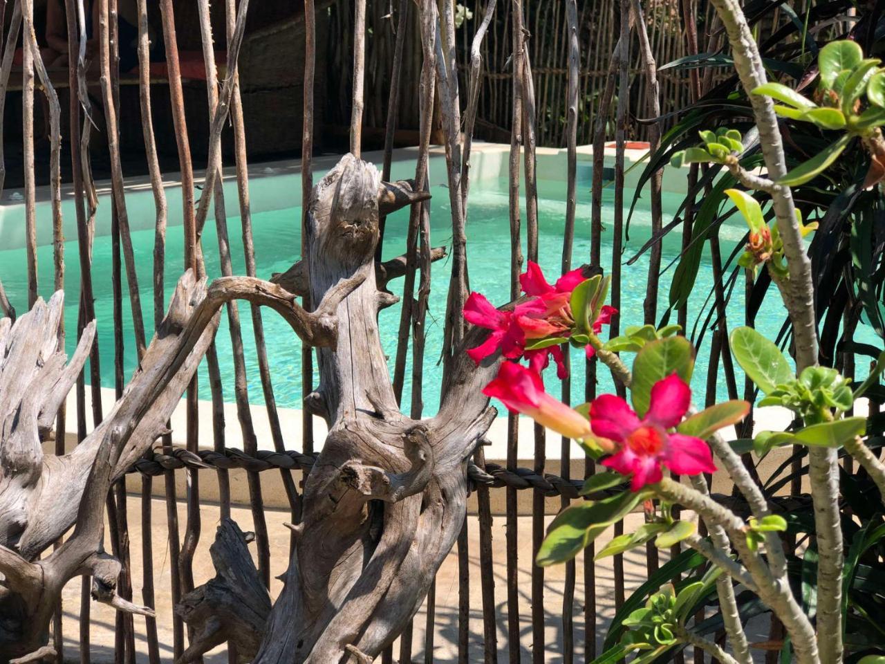 Zawadi Residence 瓦塔穆 外观 照片